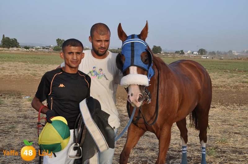 kheil sebaq (11).JPG